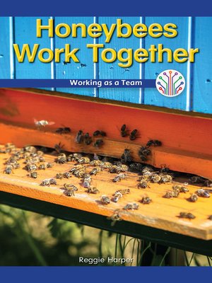 cover image of Honeybees Work Together